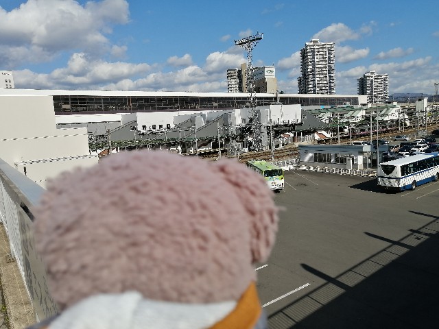 f:id:hioritan:20220408230639j:image