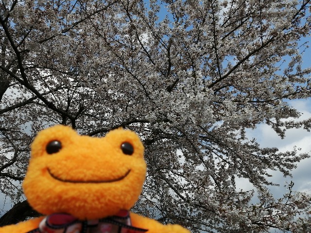f:id:hioritan:20220513224326j:image f:id:hioritan:20220513224326j:image