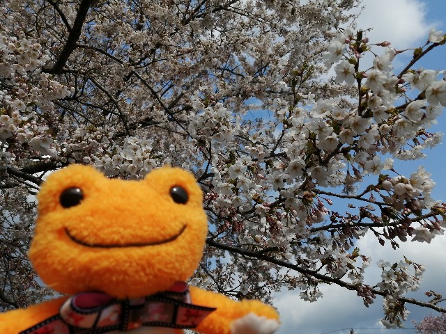 f:id:hioritan:20220513224350j:image f:id:hioritan:20220513224350j:image