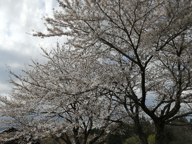 f:id:hioritan:20220513224413j:image f:id:hioritan:20220513224413j:image
