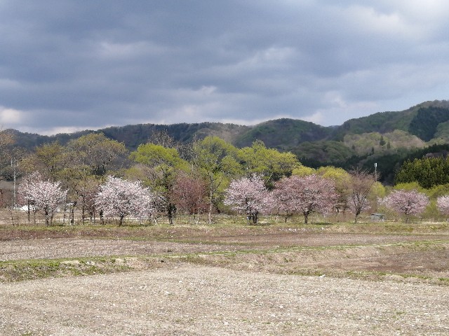 f:id:hioritan:20220513224458j:image f:id:hioritan:20220513224458j:image