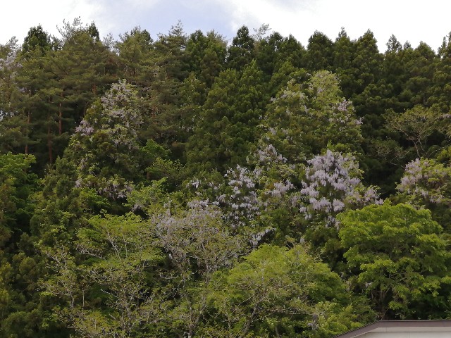 f:id:hioritan:20220524001719j:image f:id:hioritan:20220524001719j:image