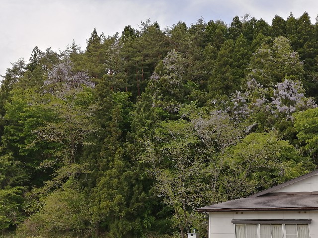 f:id:hioritan:20220524001744j:image f:id:hioritan:20220524001744j:image