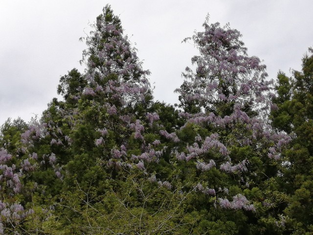 f:id:hioritan:20220524001823j:image f:id:hioritan:20220524001823j:image