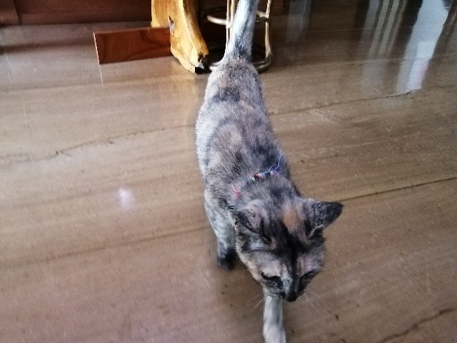 f:id:hioritan:20220822232732j:image