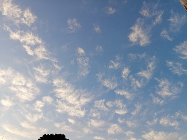 f:id:hioritan:20221006220005j:image