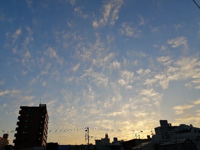 f:id:hioritan:20221006220015j:image