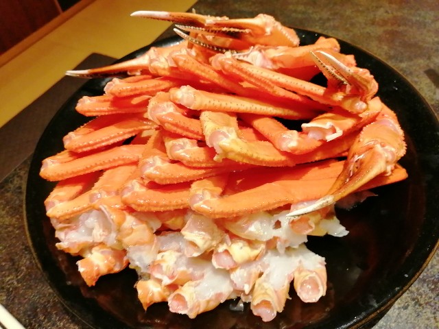 f:id:hioritan:20230120223255j:image