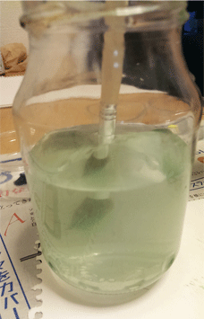 f:id:hipopocroco:20140801003947g:plain