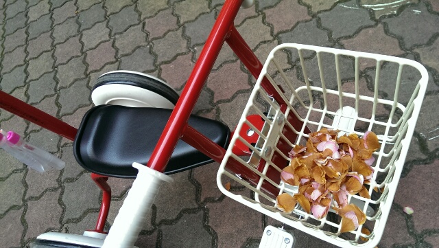 f:id:hipopocroco:20150523222301j:plain f:id:hipopocroco:20150523222301j:plain