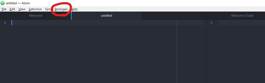 f:id:hipopocroco:20190131022516j:plain f:id:hipopocroco:20190131022516j:plain