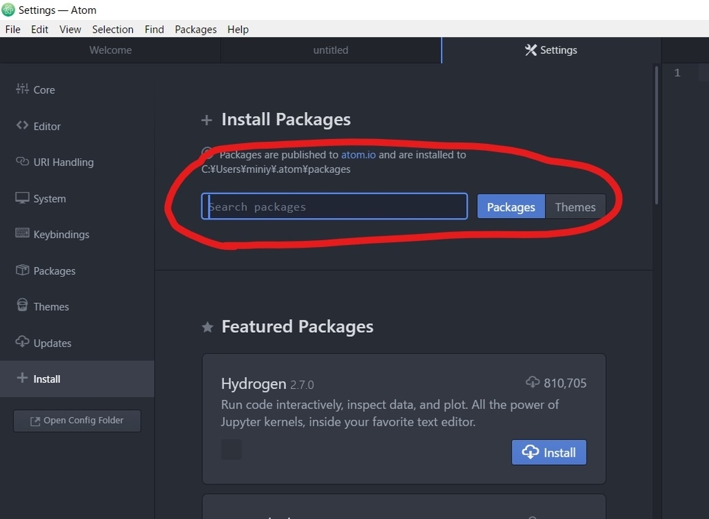 f:id:hipopocroco:20190131022622j:plain f:id:hipopocroco:20190131022622j:plain