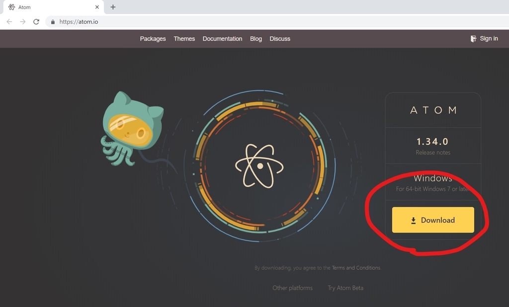 f:id:hipopocroco:20190131083518j:plain f:id:hipopocroco:20190131083518j:plain