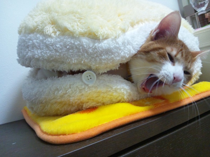 f:id:hipotama:20121222235416j:image:w360