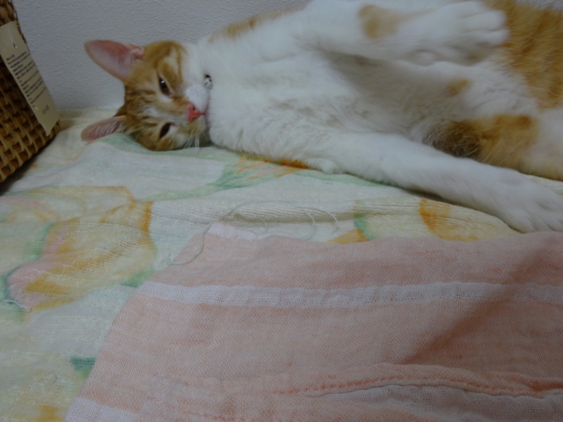 f:id:hipotama:20130715165421j:image:w360