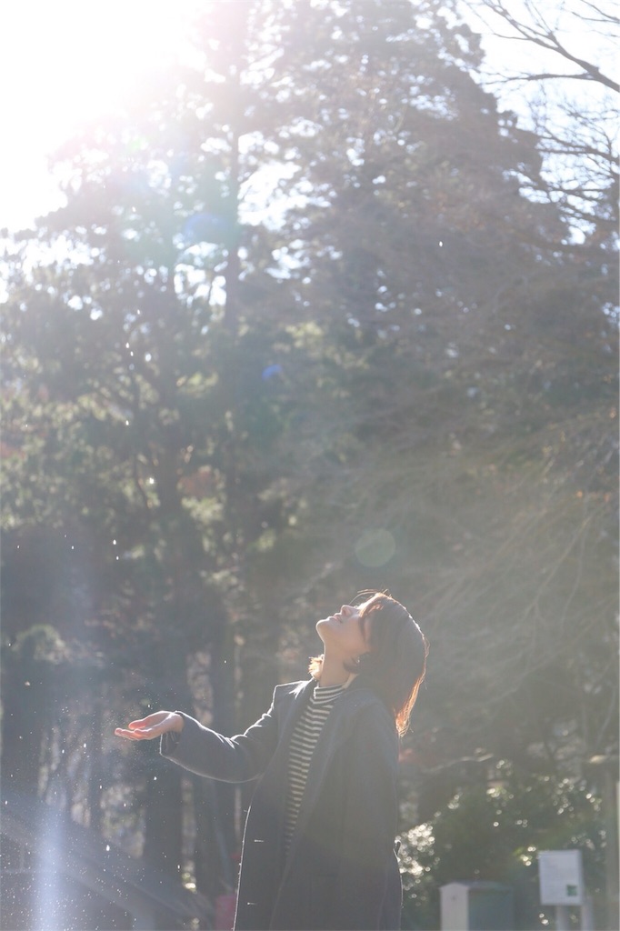 f:id:hippooo8:20171210011206j:image