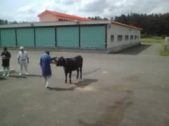 f:id:hir_u:20060913115608j:image