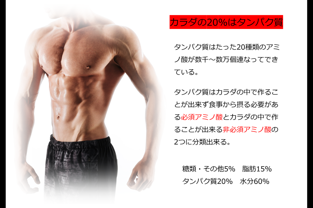 f:id:hira0808:20210316075929p:plain