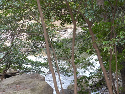 f:id:hirabarimaru:20170307085206j:plain