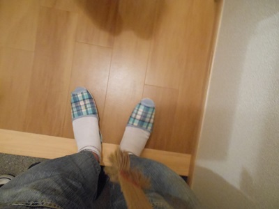 f:id:hirabarimaru:20170730111154j:plain f:id:hirabarimaru:20170730111154j:plain