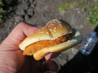 f:id:hirabarimaru:20170817091951j:plain