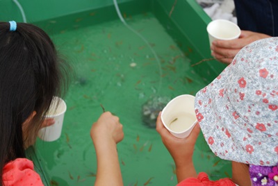 f:id:hirabarimaru:20180610215800j:plain f:id:hirabarimaru:20180610215800j:plain