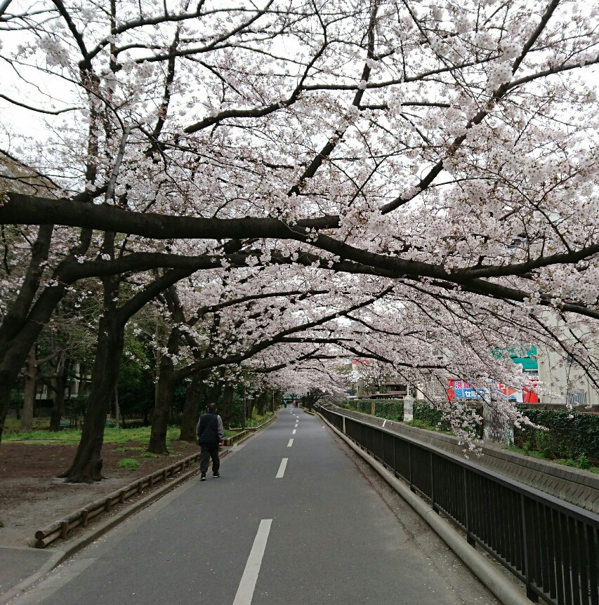 f:id:hirabooo:20190423205809j:plain f:id:hirabooo:20190423205809j:plain