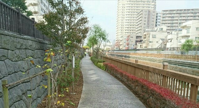 f:id:hirabooo:20190423210216j:plain f:id:hirabooo:20190423210216j:plain