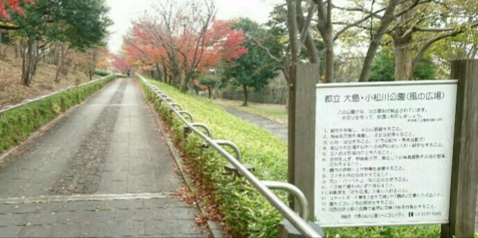 f:id:hirabooo:20190423210706j:plain f:id:hirabooo:20190423210706j:plain