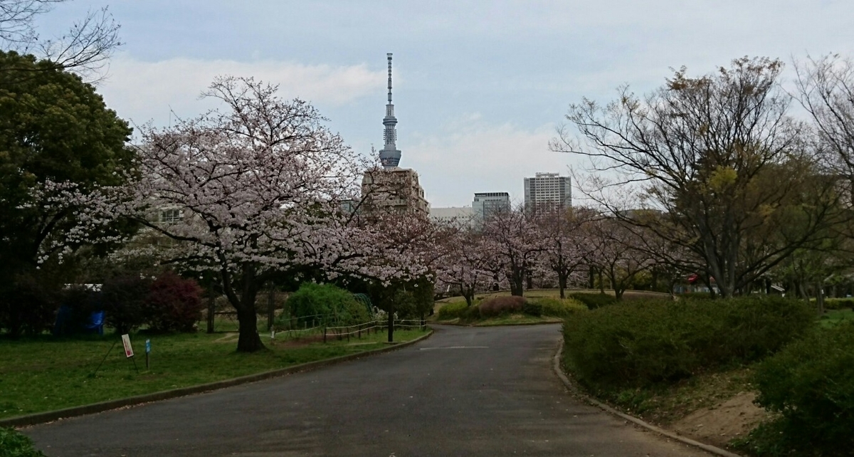 f:id:hirabooo:20190423211523j:plain f:id:hirabooo:20190423211523j:plain