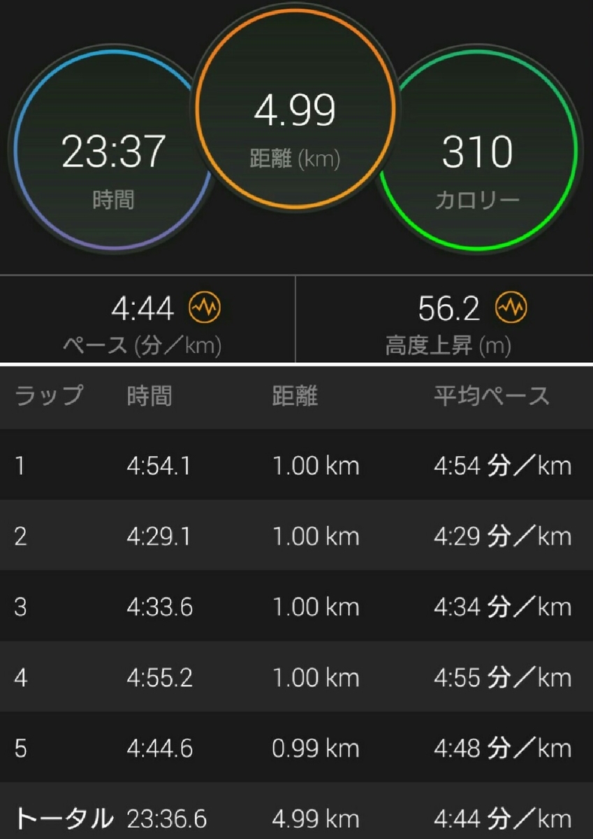 f:id:hirabooo:20190505212118j:plain