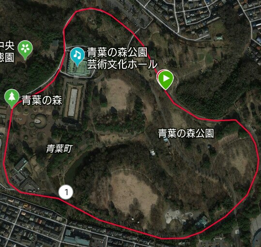 f:id:hirabooo:20190520195310j:plain f:id:hirabooo:20190520195310j:plain