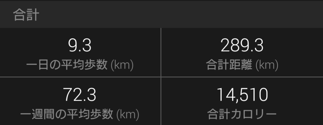 f:id:hirabooo:20191230095425j:plain