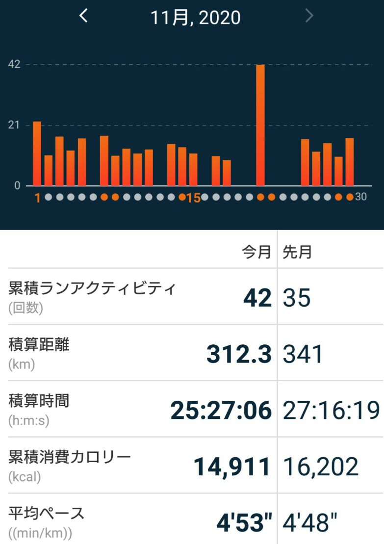 f:id:hirabooo:20201130155426j:plain