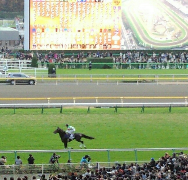 f:id:hirabooo:20201130174334j:plain
