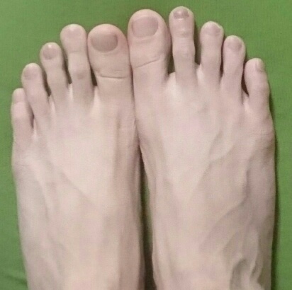 f:id:hirabooo:20201206220925j:plain