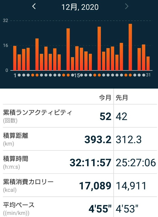 f:id:hirabooo:20201231110732j:plain
