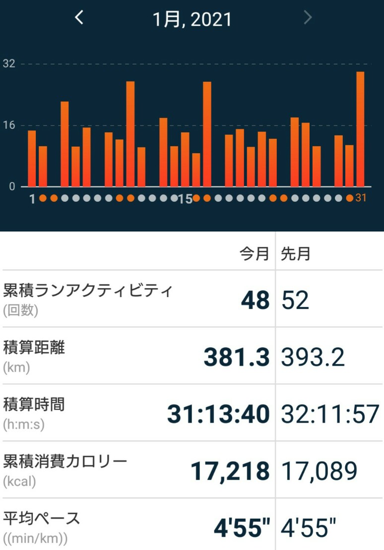 f:id:hirabooo:20210131194131j:plain