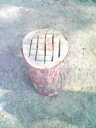 f:id:hirac:20080111092822j:image f:id:hirac:20080111092822j:image