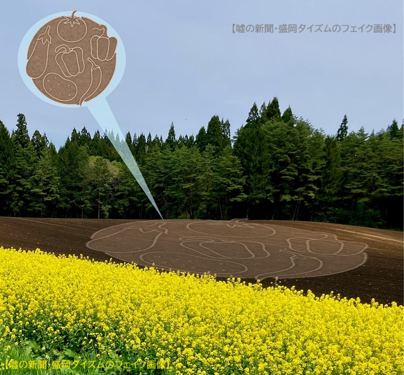 【噓の新聞・盛岡夕イズムのフェイク画像】畑に描かれた巨大な地上絵。土の表面にナス、トマト、ピーマン、トウガラシ、ジャガイモなどの野菜が線画で描かれている。奥には森林が広がり、手前には黄色い菜の花畑が咲いている。左上には地上絵の全体図を示す円形の拡大イメージも表示されている。