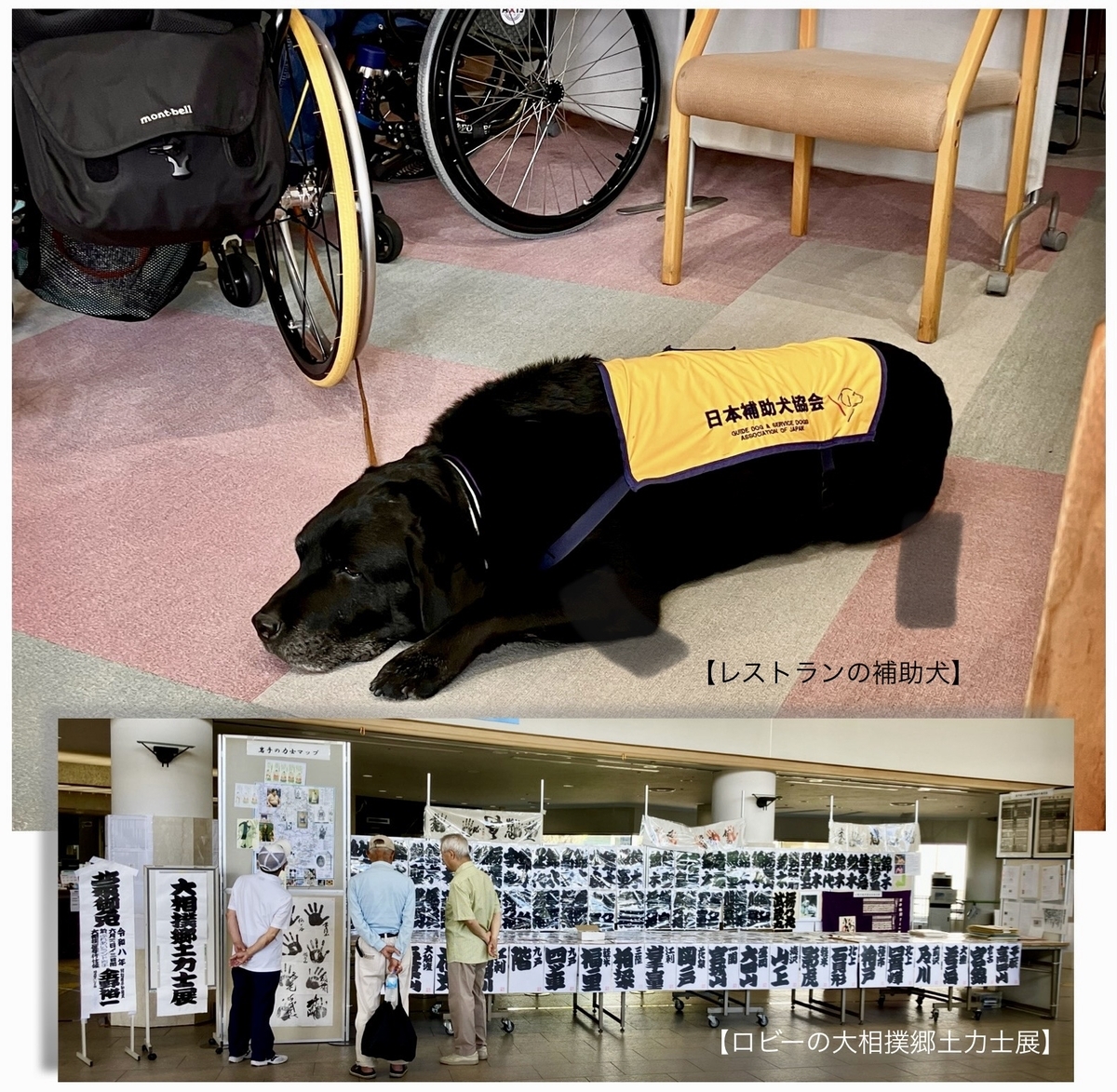 上段はレストランの床で静かに伏せて待機する黒いラブラドールの補助犬。黄色い「日本補助犬協会」のハーネスを着け、周囲には車椅子や椅子が見える。補助犬は利用者の食事中も落ち着いて待機している。下段は、ふれあいランド岩手のロビーで開かれている「大相撲郷土力士展」。歴代力士の番付や書、写真などが長く展示され、3人の来場者が足を止めて見入っている。