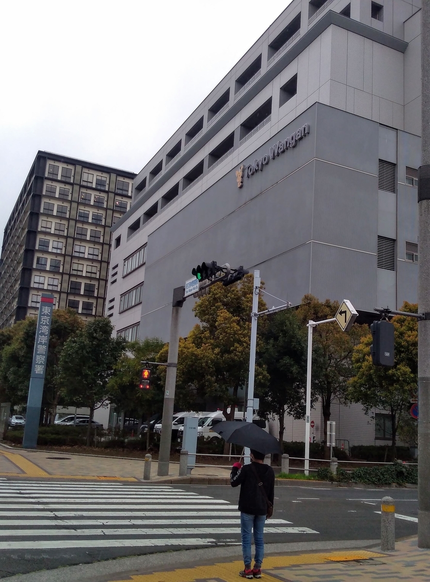 f:id:hiragam:20190401142118j:plain f:id:hiragam:20190401142118j:plain
