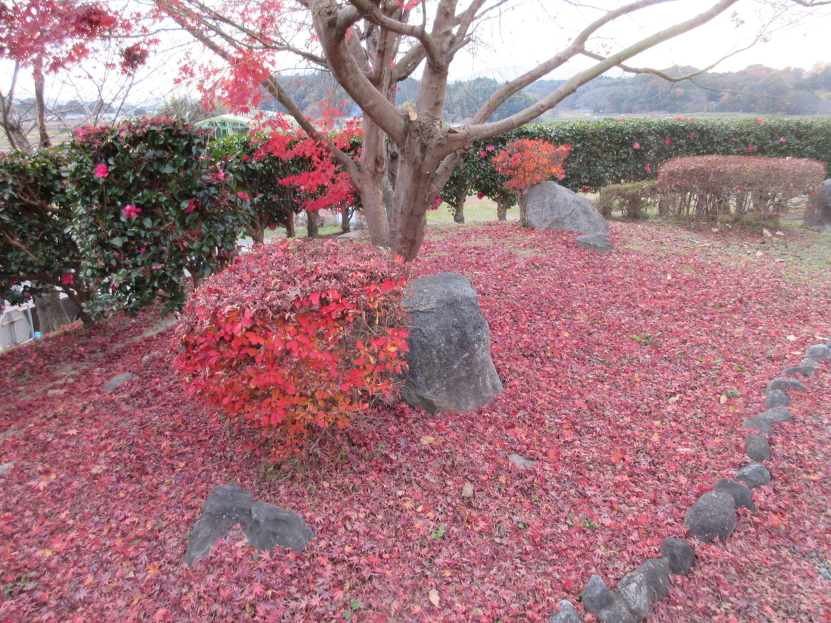 f:id:hirailand:20201217233603j:plain