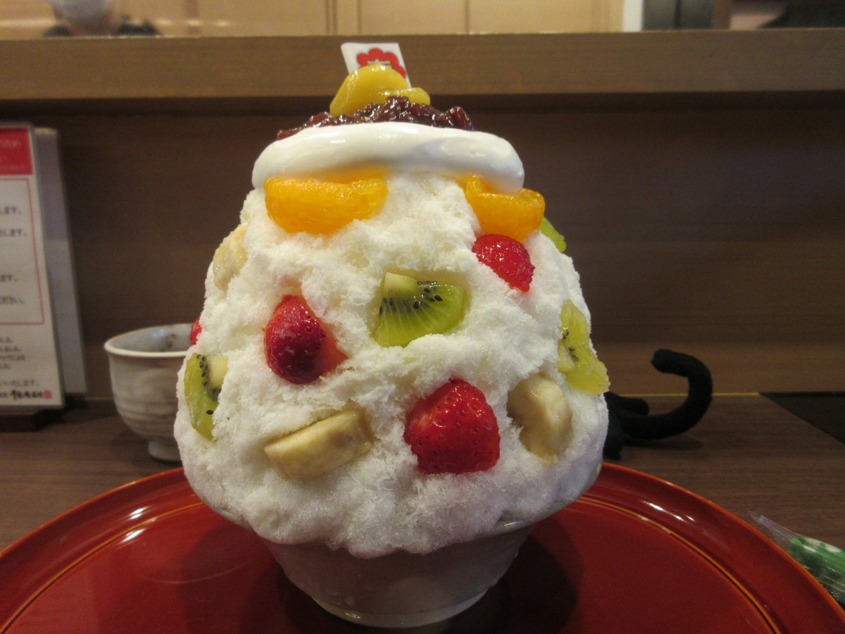 f:id:hirailand:20210110232412j:plain