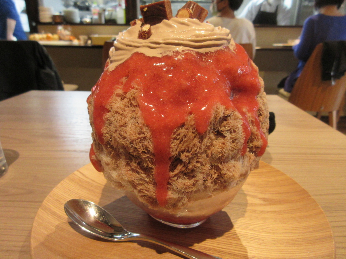 f:id:hirailand:20210225234226j:plain