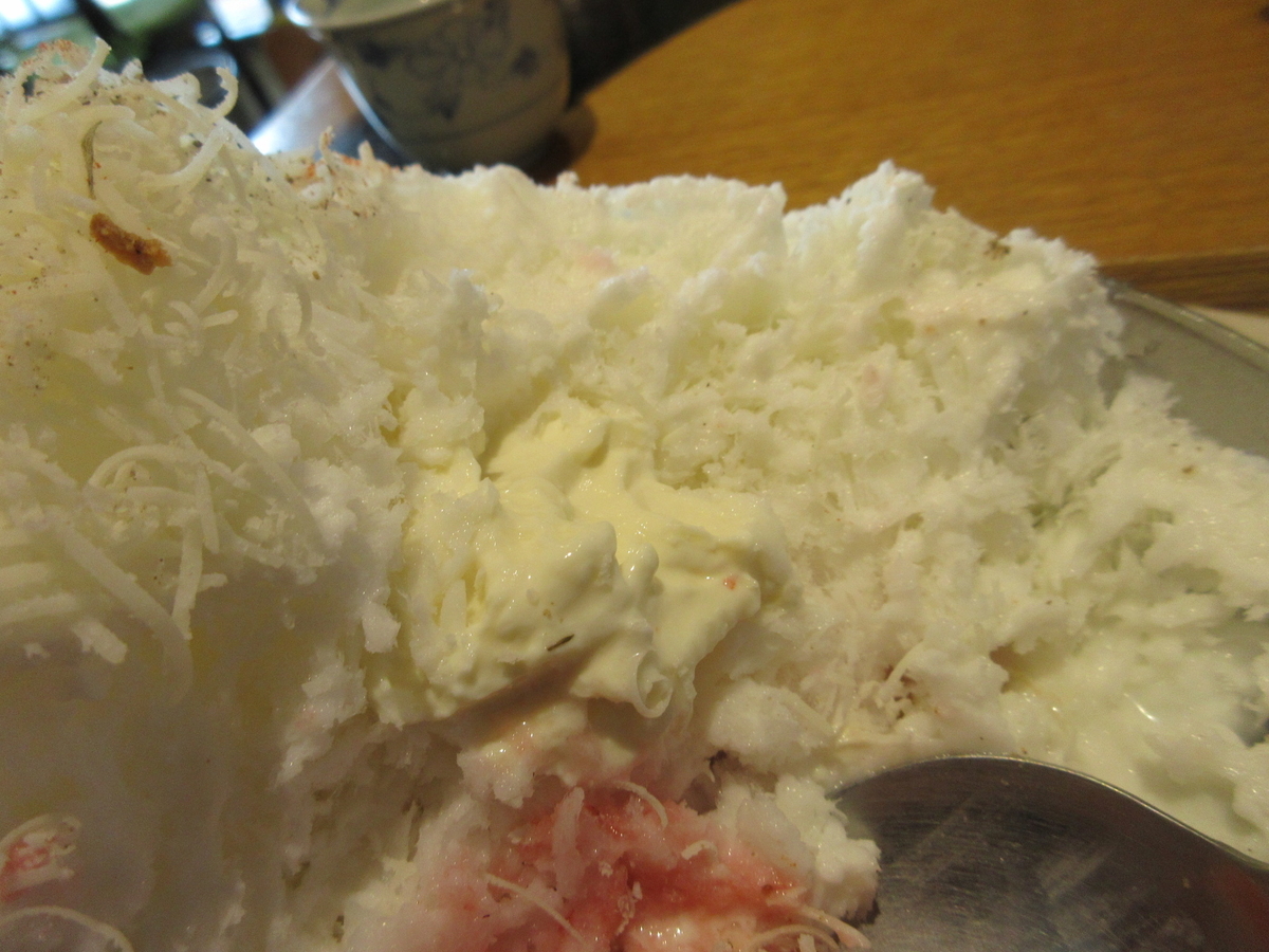 f:id:hirailand:20210413224659j:plain