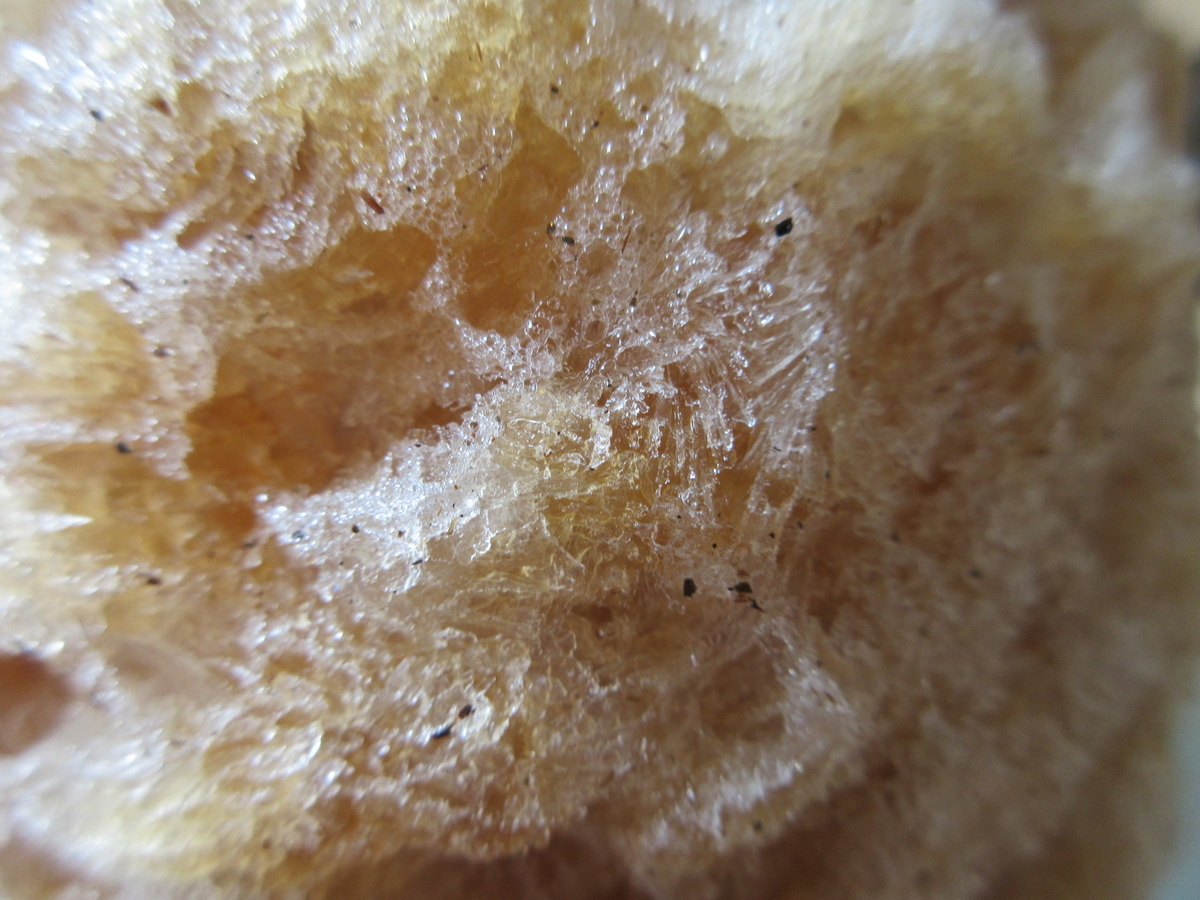 f:id:hirailand:20210913002551j:plain