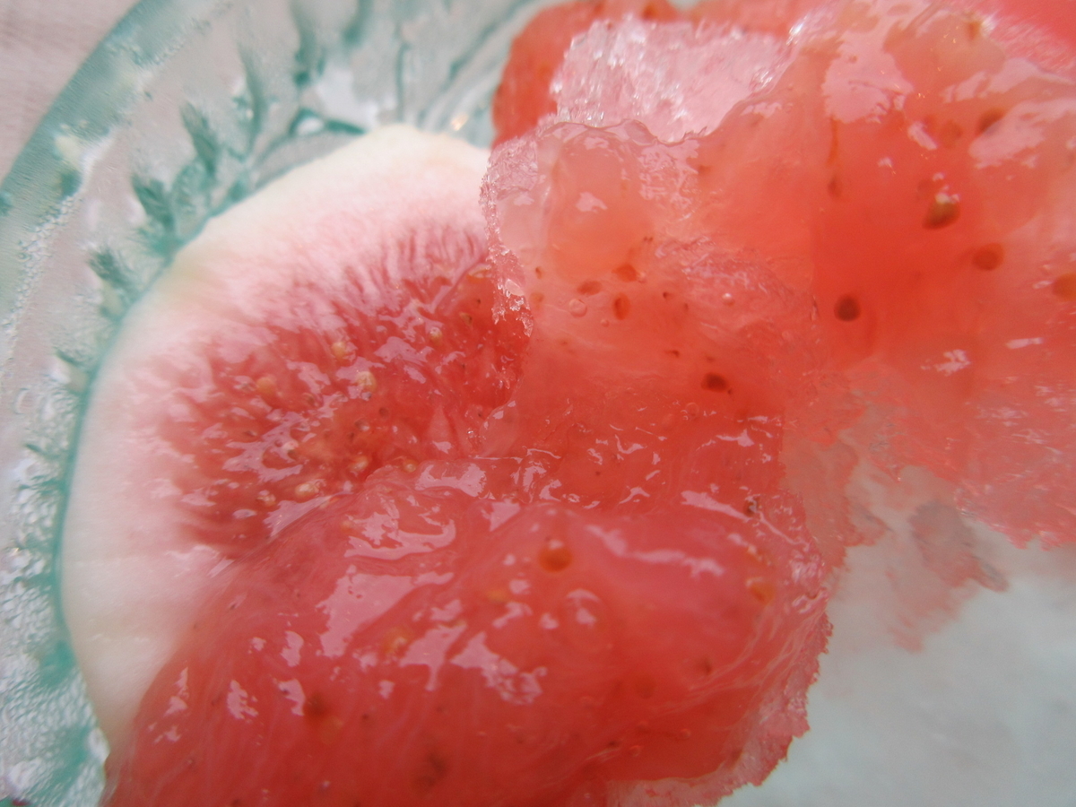 f:id:hirailand:20210918003626j:plain