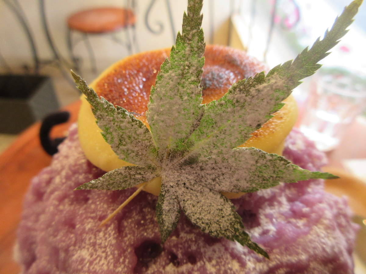 f:id:hirailand:20211009025936j:plain