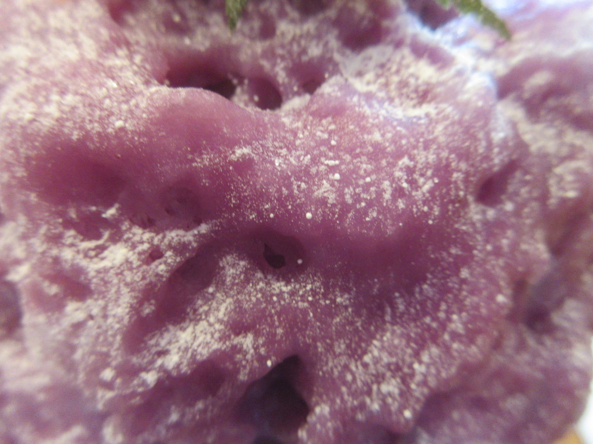 f:id:hirailand:20211009030048j:plain